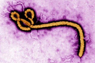 El CECOVA habilita un espacio en su portal con información sobre el ébola