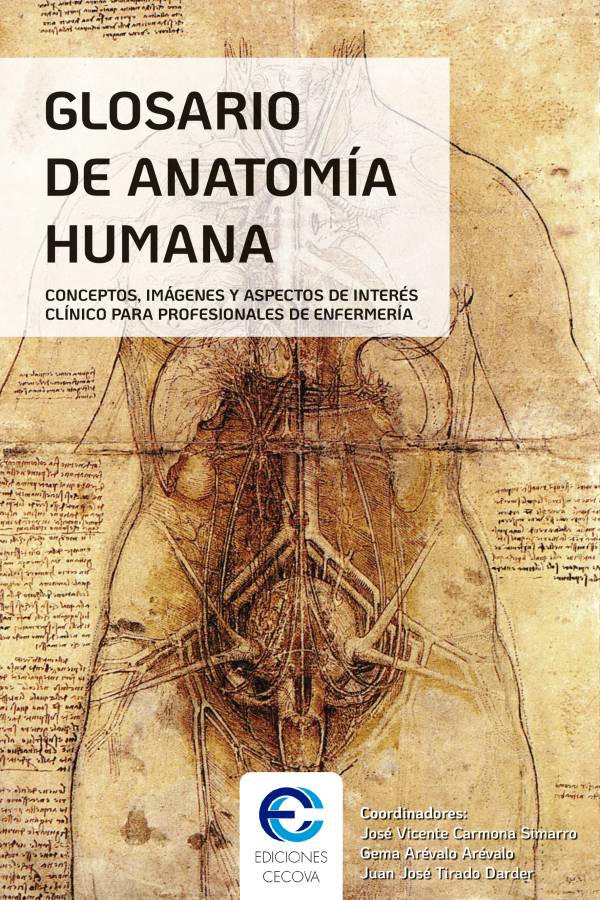Glosario de anatomía humana